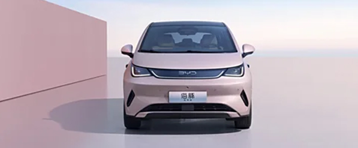 BYD-Dolphin-02