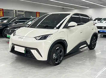 Seagull 2025 305km Vitality Edition
