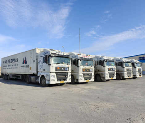 Vehicle Models Delivered To Kazakhstan
