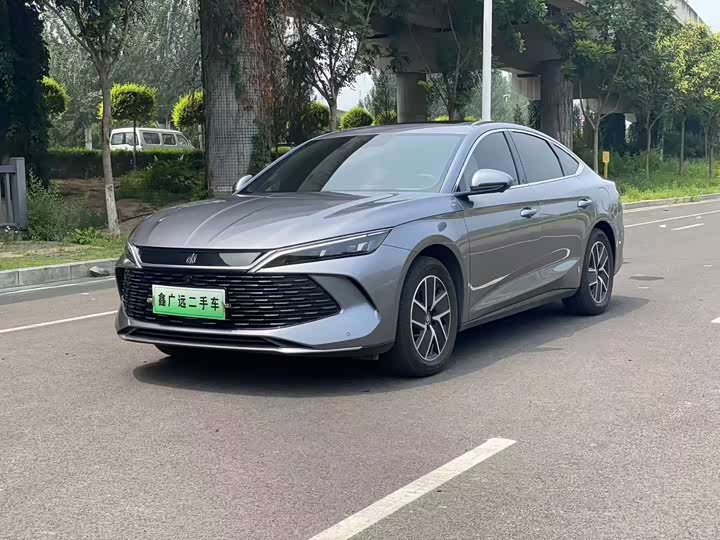 Qin L 2024 DM-i 120KM Leading Edition